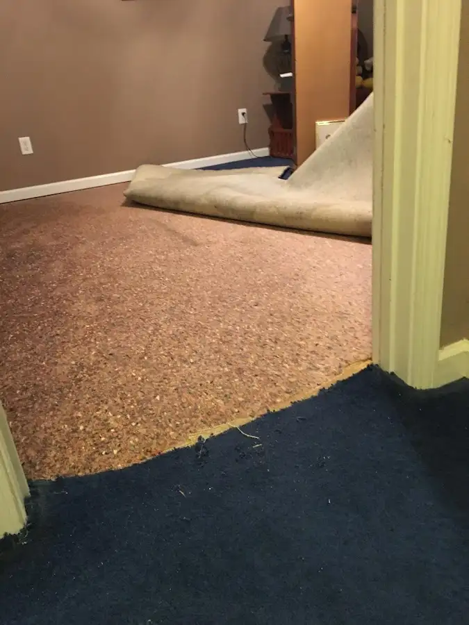 Carpet pad removal revealing water damage during Water Mitigation Services in Brambleton