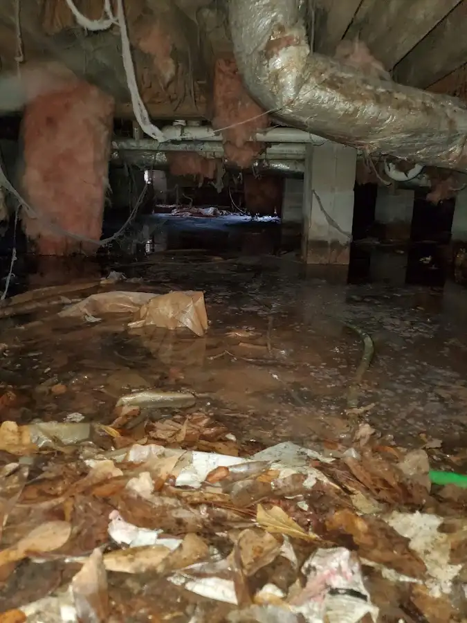 Crawl space flood assessment for Leak Detection & Repair in Brambleton